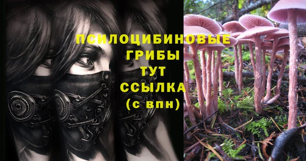 COCAINE Няндома