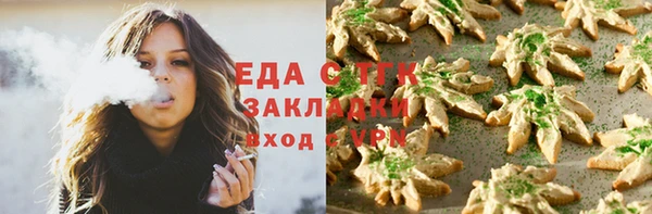 прущий лед Новозыбков